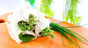 Comment conserver longtemps salades et herbes aromatiques