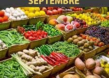 Le panier de saison du mois : les fruits et légumes à consommer en septembre 2020
