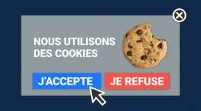 L’indigestion de « cookies »