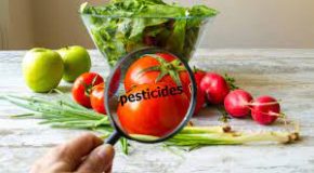 Fruits et légumes. Comment éviter les pesticides